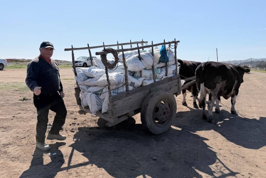Entregan 5,5 toneladas de alimento a productores afectados por…