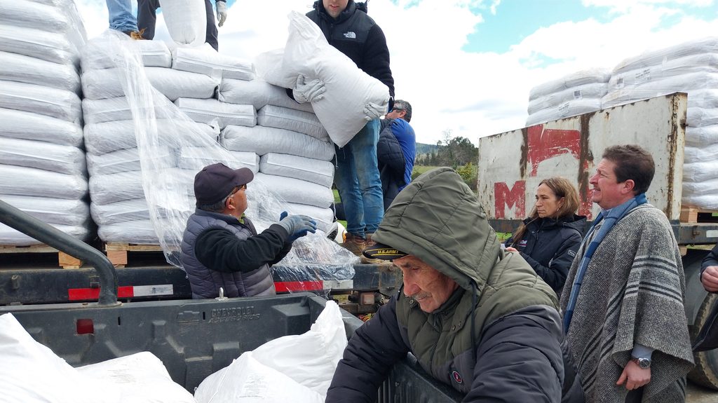 INDAP ENTREGA MÁS DE 650 TONELADAS DE ALIMENTO PARA GANADO TRAS…