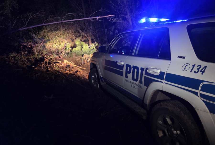 Investigan muerte de trabajador en faena forestal en Cobquecura