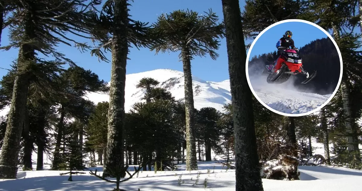 Denuncian ingreso ilegal de motos de nieve a Reserva Nacional…