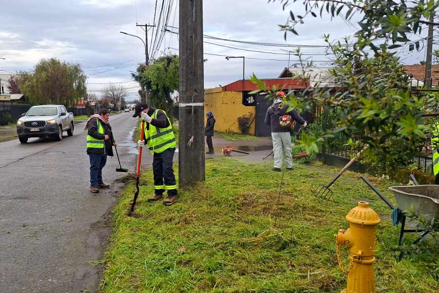 Previo a fiestas patrias limpian y cortan pasto en diversos sectores…