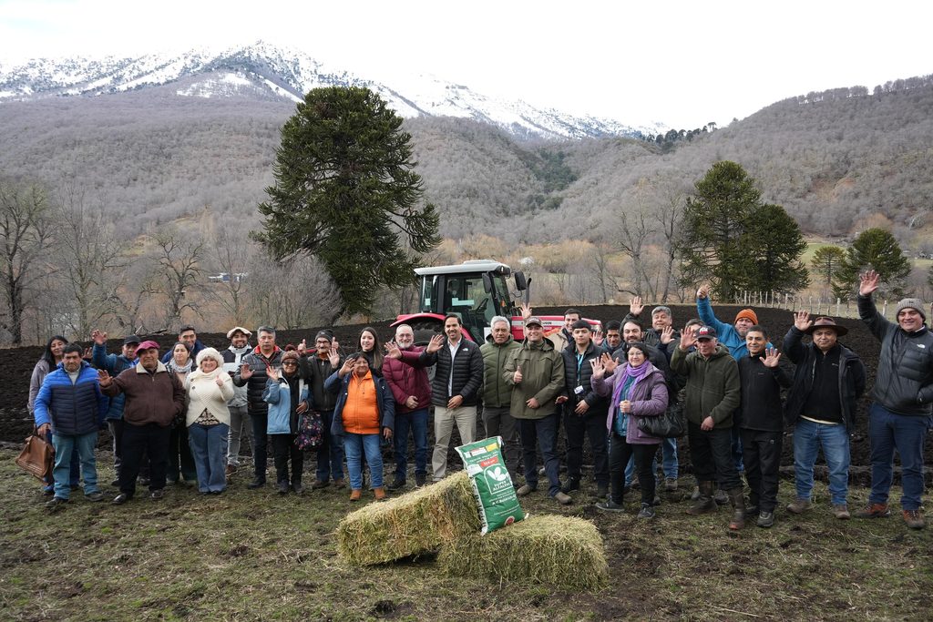 LONQUIMAY REALIZA HISTÓRICA SIEMBRA DE PRADERAS DE ALFALFA PARA…