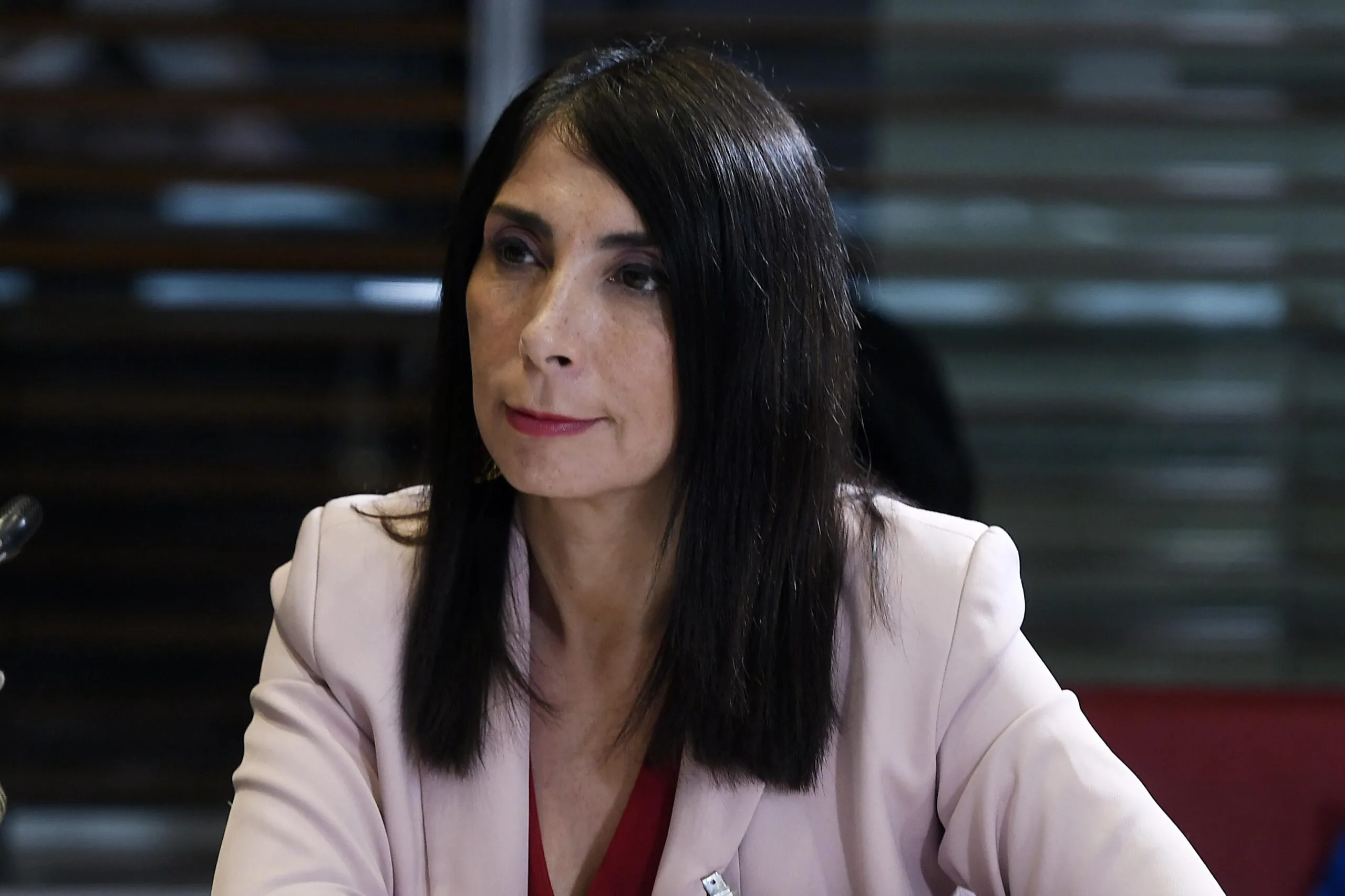 Ex ministra Karla Rubilar endurece críticas al Gobierno por “Yo…