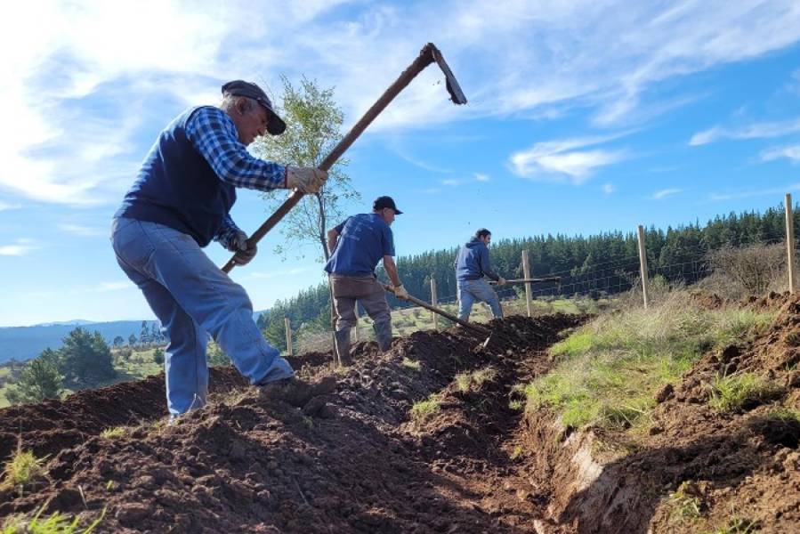 Destinan $107 millones para recuperar y conservar 273 hectáreas de…