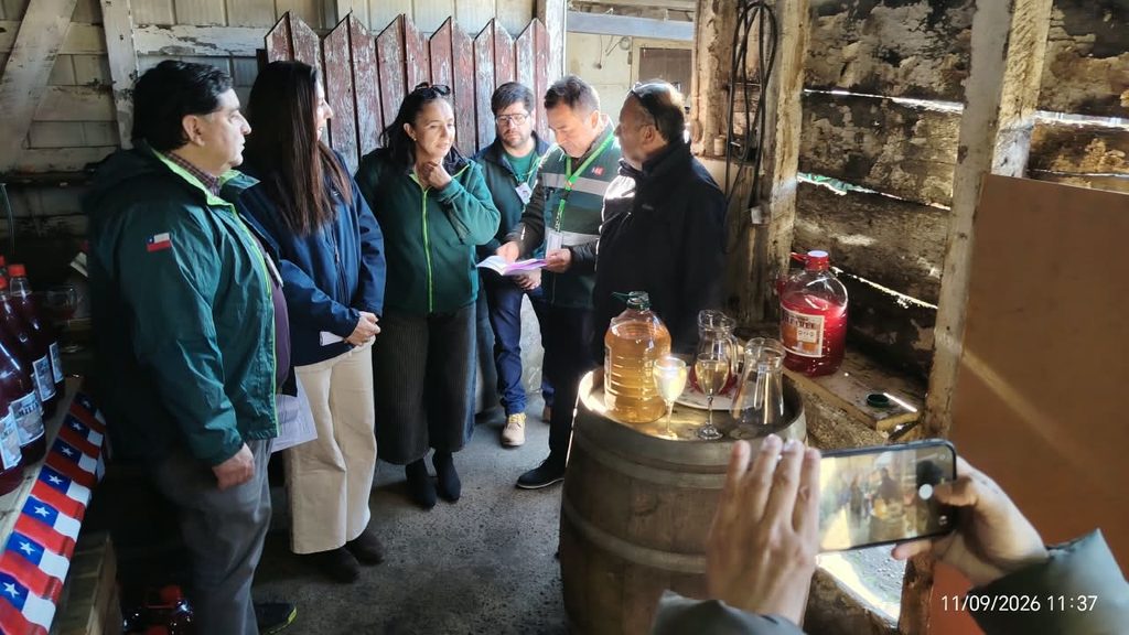 SAG INTENSIFICA FISCALIZACIÓN DE VINO PIPEÑO Y CHICHA DE UVA EN LA…