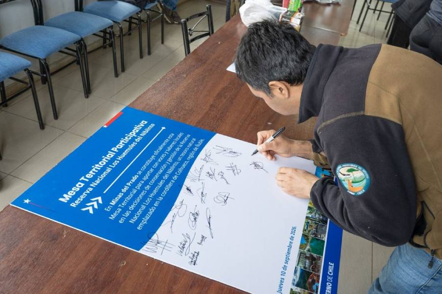 Reserva Nacional Los Huemules del Niblinto constituye mesa…