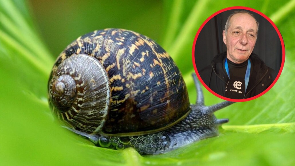 La historia de HelixCell: el producto de baba de caracol que nació…