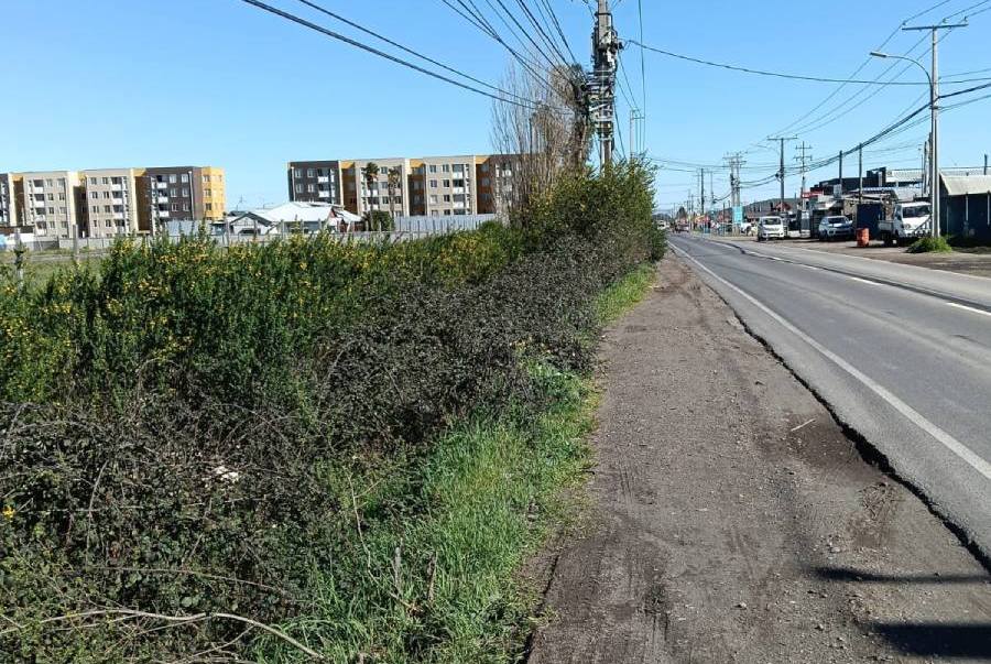 Vecinos denuncian robos y microbasural en terreno eriazo del camino…