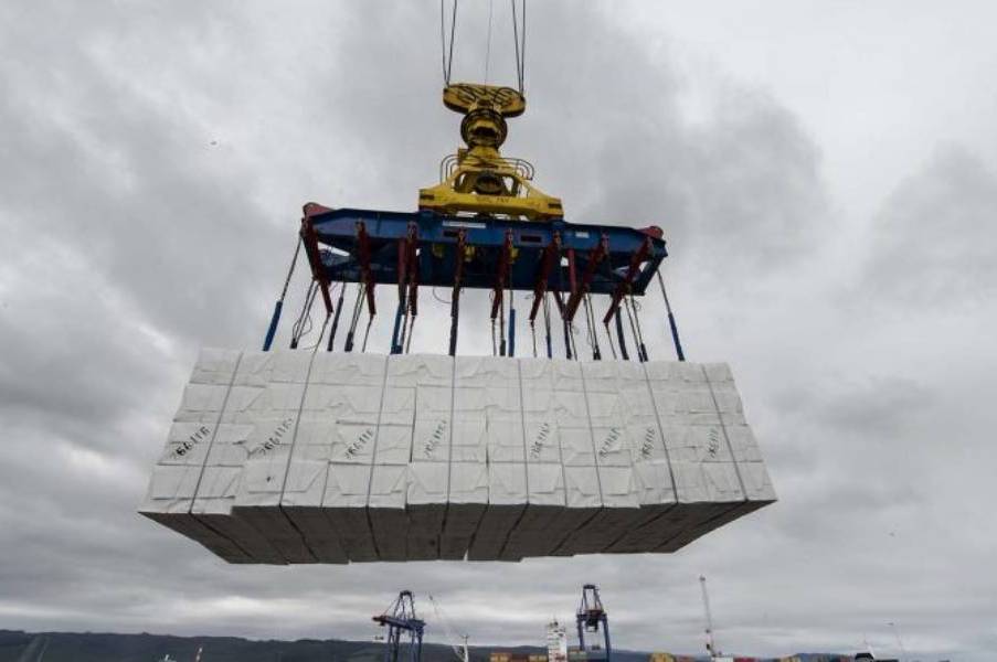 Exportaciones de Ñuble a China crecen 78% en 2026