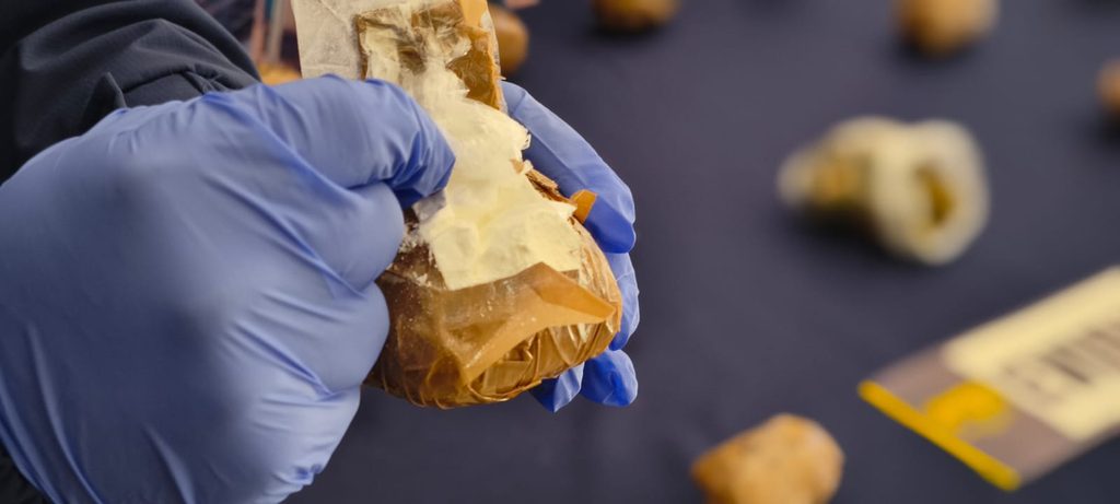 PDI INCAUTA CARGAMENTO DE COCAÍNA EN ANGOL DESTINADO AL MICROTRÁFICO…
