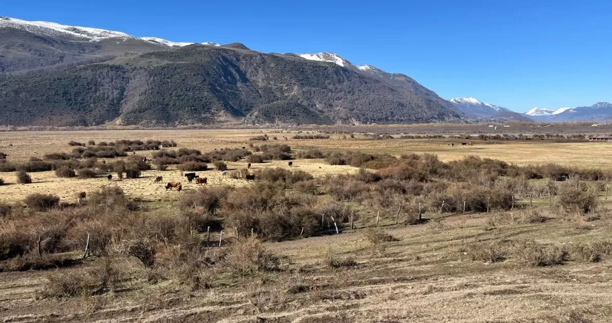 Agricultor denuncia fumigación con pesticidas en aeródromo de Lonquimay