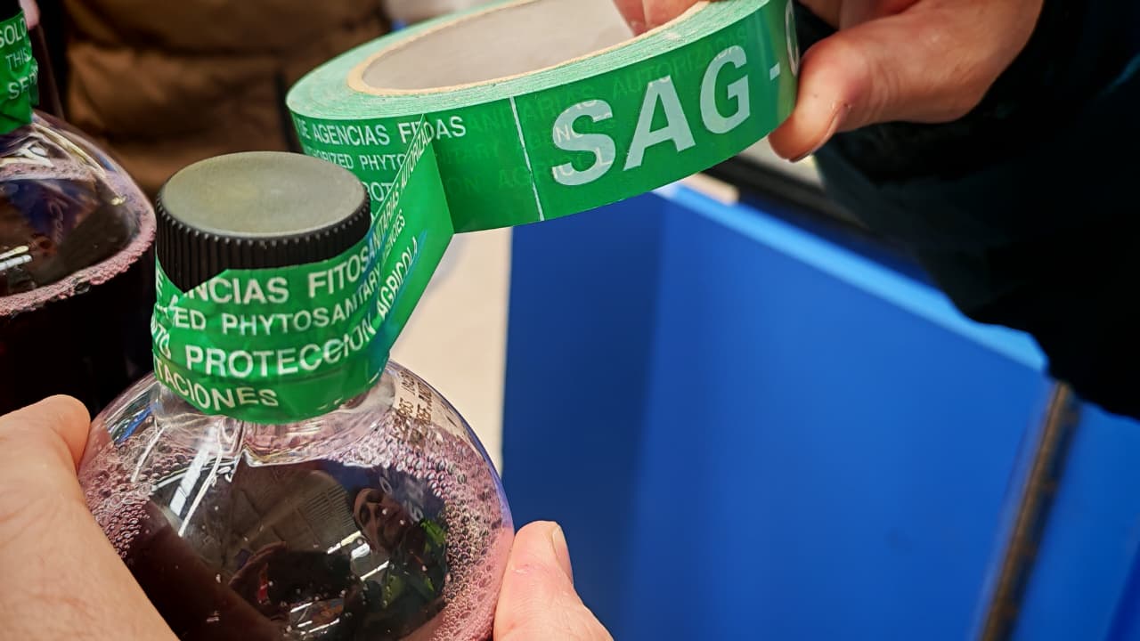 Seremi de Agricultura refuerza fiscalización de alcoholes previo a…