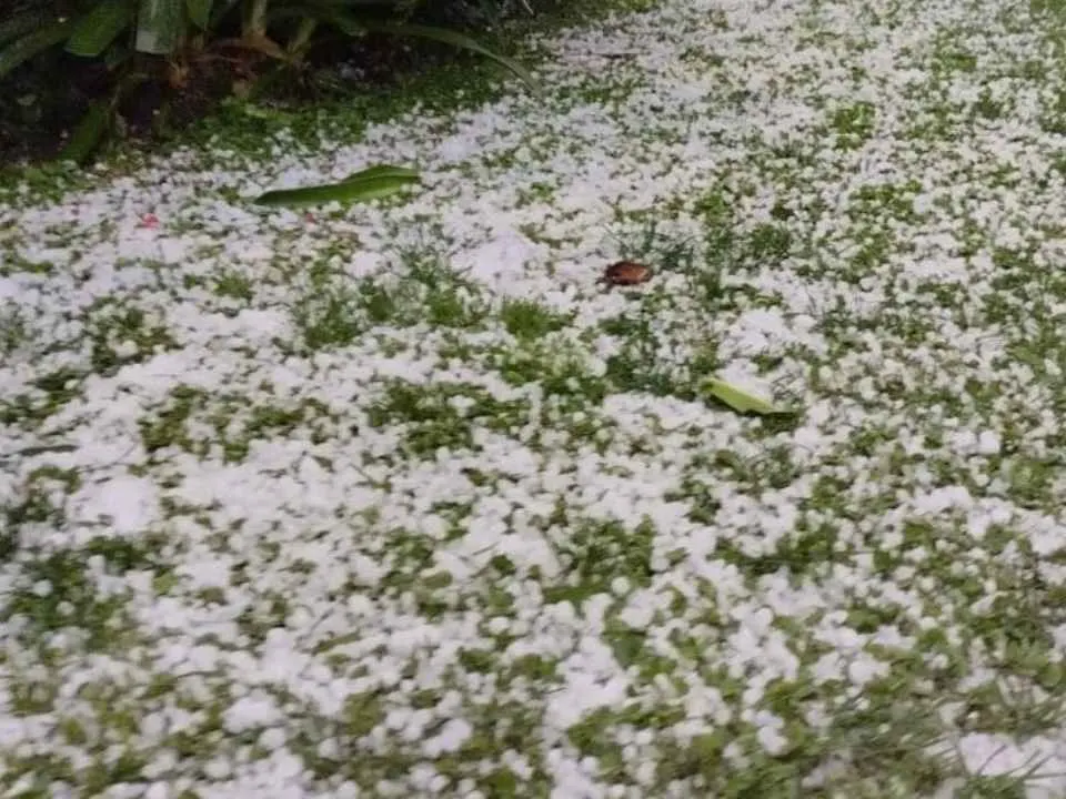 Inusual granizadas golpea a la fruticultura de O’Higgins y ponen en…