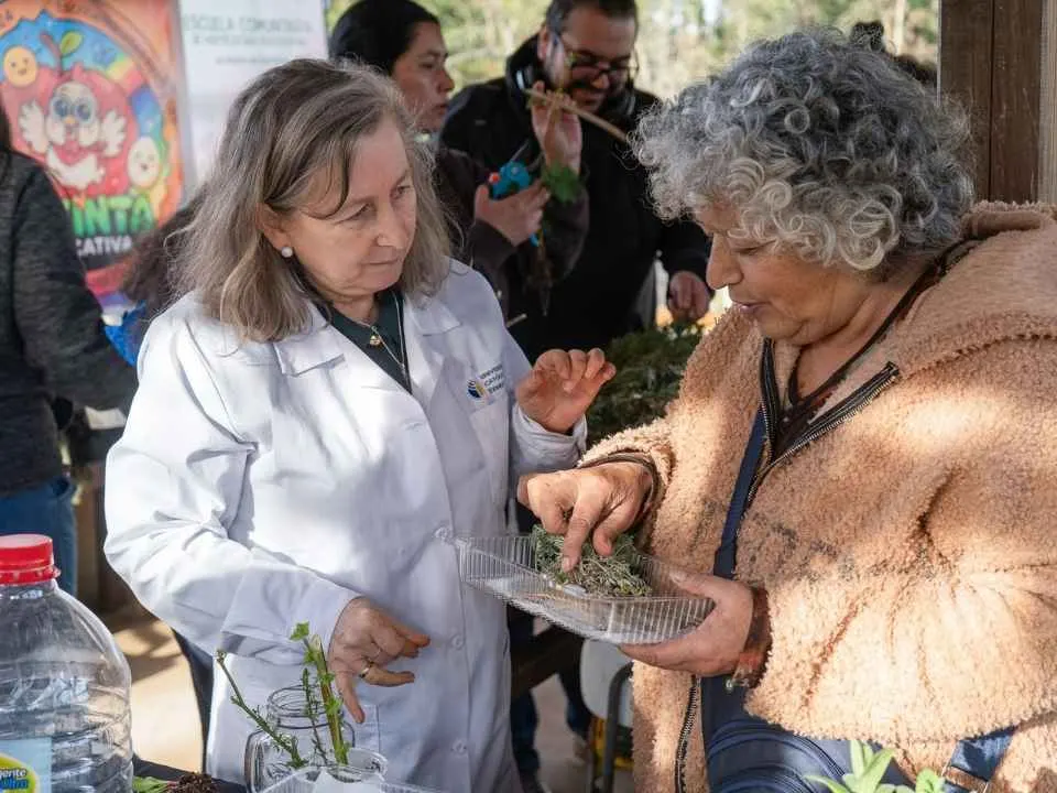 Vecinos de Temuco recuperan técnicas de cultivo y saberes…
