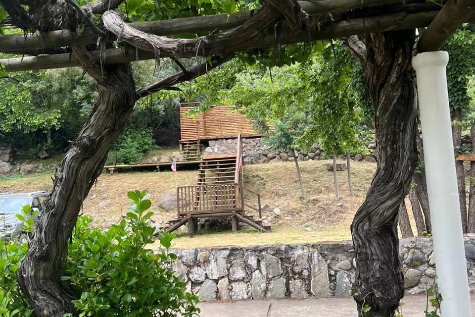 Parras de 160 años y vigas de robles nacidos hace más de ocho siglos