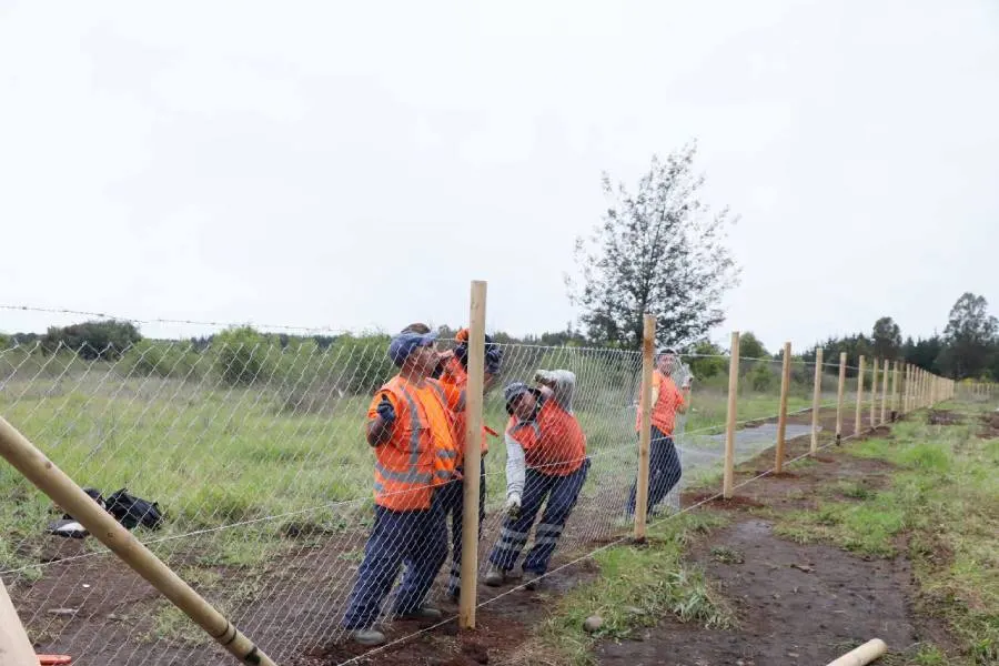 Chillán Viejo suspende idea de crear un nuevo cementerio y buscan…