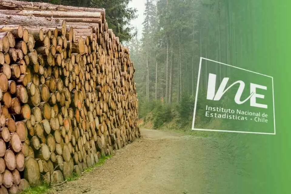 Exportaciones forestales del Biobío aumentaron 7,8% en agosto de…