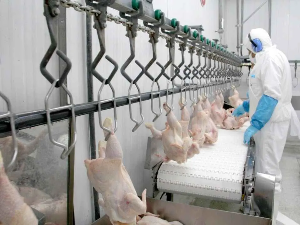 SAG suspende ingreso de aves y productos avícolas provenientes de…