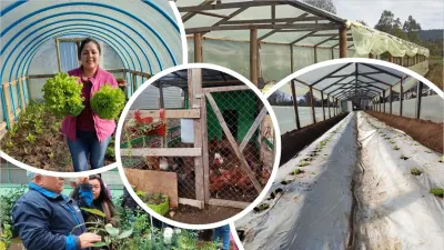 FOSIS fortalece la seguridad alimentaria de familias de La Araucanía…