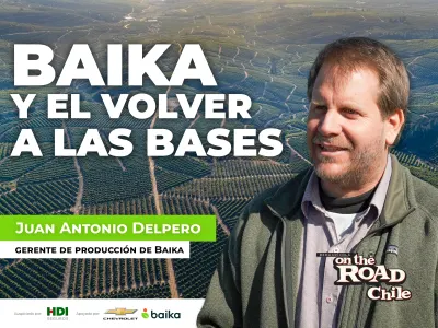 ‘Volver a las bases’: la apuesta de Baika para reconstruir la…